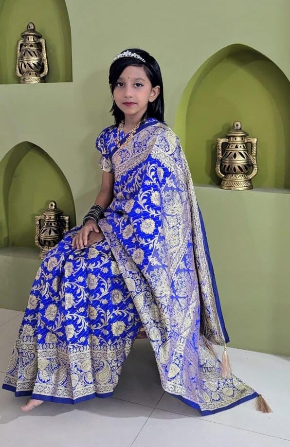 বেনারসি কাতান শাড়ি বেনারসি কাতান শাড়ি